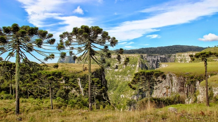 C&acirc;nion das Laranjeiras - Norte