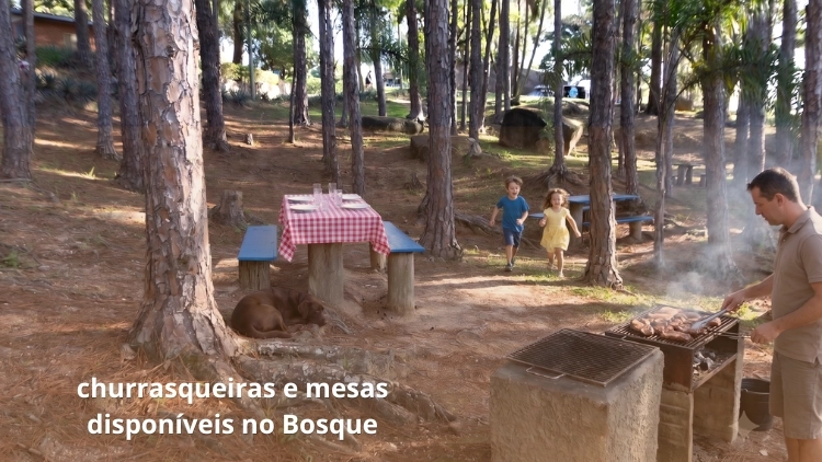 Imagem de vitrine