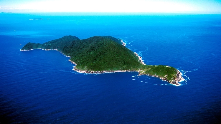 MERGULHO PARA CREDENCIADOS: ILHA DO ARVOREDO OU ESTALEIRO