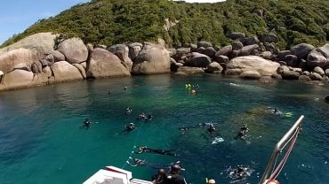 PASSEIO DE BARCO COM SNORKEL: ILHA DO ARVOREDO OU ESTALEIRO
