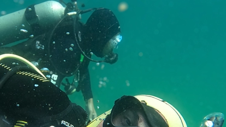MERGULHO PARA CREDENCIADOS PRAIA DE BOMBINHAS