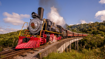 Tour Uva e Vinho com trem Maria Fumaça