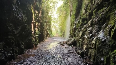 Trilha do Antigo Trem da Mata Atlântica