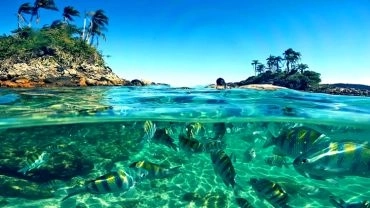 Ilhas Paradisíacas | Passeio de Lancha em Angra dos Reis