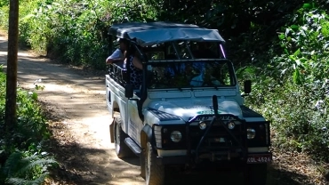 Jeep Tour Paraty | Aventura, Ecologia e História