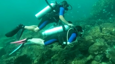 Experiência de Mergulho Em Angra dos Reis e Ilha Grande