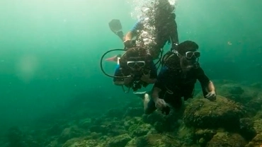 Experiência de Mergulho Em Angra dos Reis e Ilha Grande