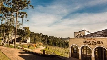 Araucária Experience (Vinícola Araucária)