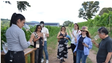 Amana Experience - Edição Especial Decanter