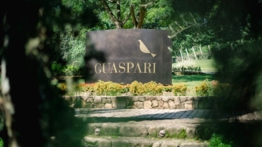 Guaspari & BBQ