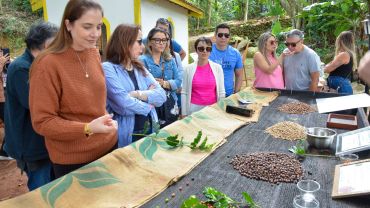 Coffee-Wine (Terra de Kurí - Amana - Merum)