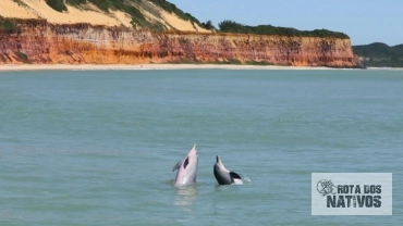 Rota dos Nativos - Pipa