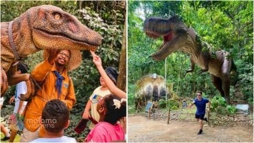 Miguel Pereira + Terra dos Dinos