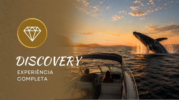 Categoria Discovery