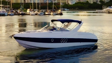 Coral 31 - Rio de Janeiro |
