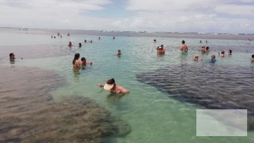 Volta à Ilha com Ecomorro