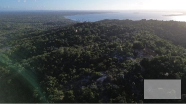 Natureza Viva – Descubra os Ecobairros da Ecomorro