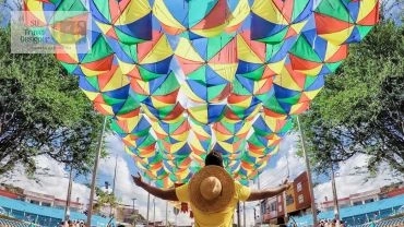 Recife - Pernambuco