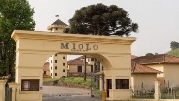 Roteiro Tradicional – Vinícola Miolo (Bento Gonçalves – RS)