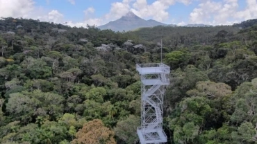 Safari na Reserva Kaetes, "Do ch&atilde;o as copas"  
