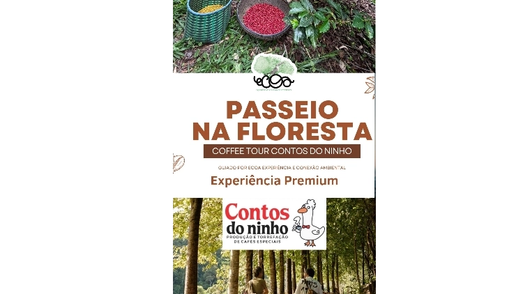 Passeio na Floresta da cafeteria Contos do Ninho (premium - com piquenique)
