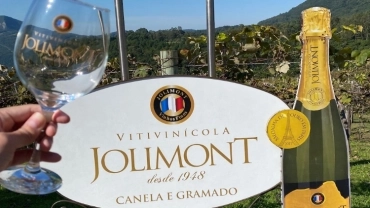 Tour Vinícola Jolimont 