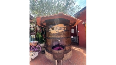 Roteiro do vinho São Roque