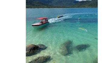 Ilha do pelado 