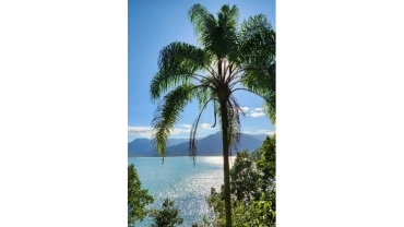 Passeio de lancha em Ubatuba 
