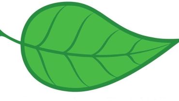 Sabores Raros & Encantos da Terra