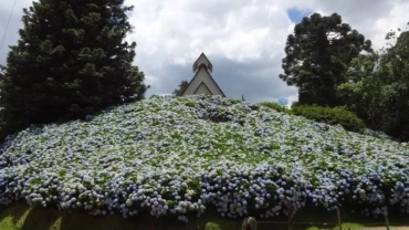 Transfer Joinville ⇄ Áreas Rurais (Van Privativa)