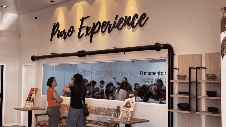 Puro Experience
