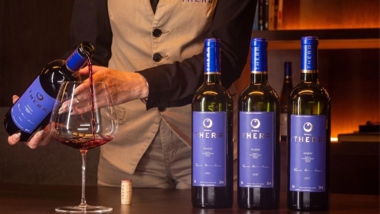 EXPERI&Ecirc;NCIA SAFRA A SAFRA