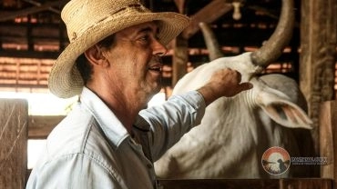 Day Use 100% Peão – Vivência Pantaneira Autêntica