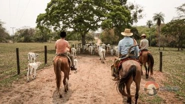 Somente Cavalgada 100% Peão – Pantanal Experiência