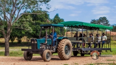 Farm Tour (Meio Período)
