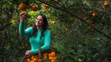 Colheita e Sabores da MD Frutos da Terra - Básico