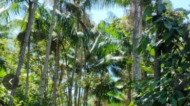 Visita ao Sítio Kogano