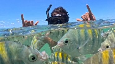 Passeio Recife de Fora