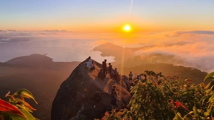 Trillha para o Pico do Papagaio