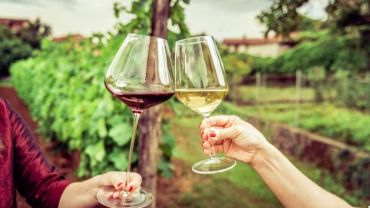 Transfer Rom&acirc;ntico para Vin&iacute;cola