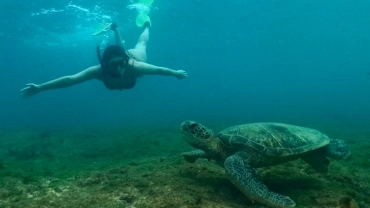 Mergulho Livre Snorkeling