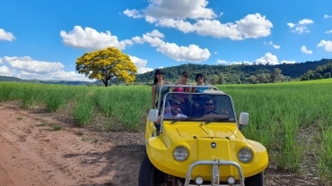 Passeio de Buggy