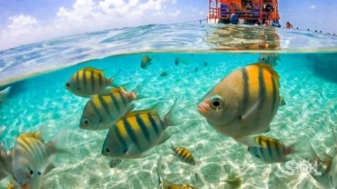 02. Piscinas Naturais do Seixas &ndash; Ponto Mais Oriental das Am&eacute;ricas