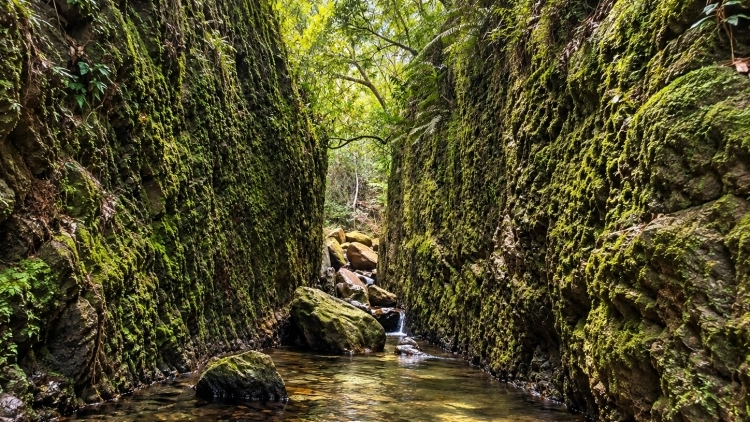 Morro da &Aacute;gua Quente: Cachoeira do Bic&atilde;o, Capela de Santa Quit&eacute;ria e Centro Hist&oacute;rico (N&iacute;vel F&aacute;cil)