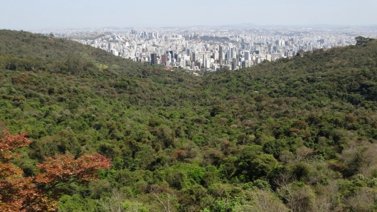De Mina de Ferro a Mar de Verde: O Cora&ccedil;&atilde;o de BH