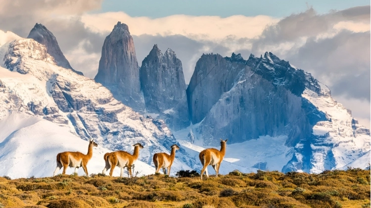 Torres del Paine - Full Day