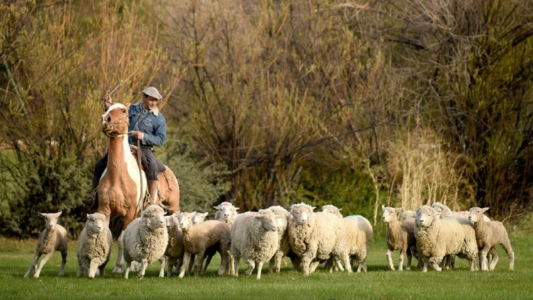 EST&Acirc;NCIA 25 DE MAYO &ndash; TARDE DE CAMPO