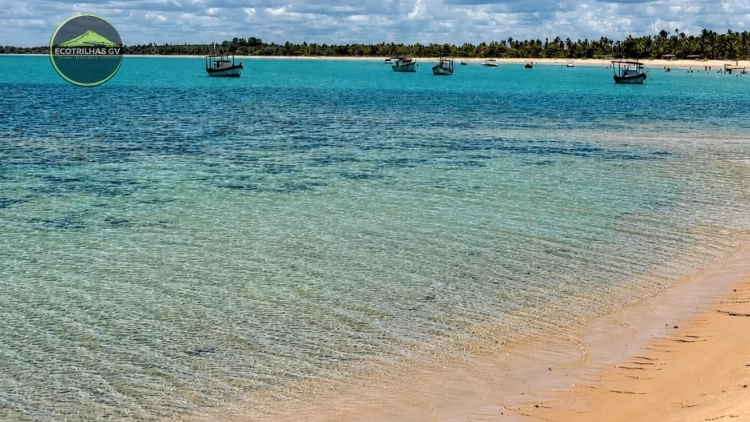 Imagem de vitrine