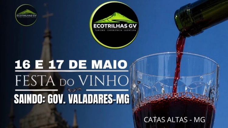 Festa do vinho - Show Dio Fonseca